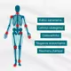 Raminantis gelis su Harpagophytum (velnio augalu ): sąnariams, lėtiniui uždegimui, osteoartritui, nugaros skausmams, raumenų įtampai Raminantis gelis su Harpagophytum (velnio augalu ): sąnariams, lėtiniui uždegimui, osteoartritui, nugaros skausmams, raumenų įtampai
